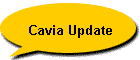 Cavia Update